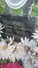 Захоронение ID 3573056