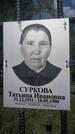 Захоронение ID 3573538
