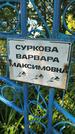 Захоронение ID 3574299