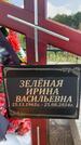 Захоронение ID 3582507