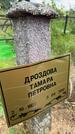Захоронение ID 3583308