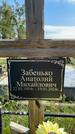 Захоронение ID 3584888