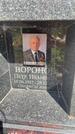 Захоронение ID 3586012