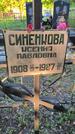 Захоронение ID 3577309