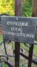Захоронение ID 3577315