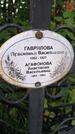 Захоронение ID 3583417