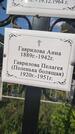 Захоронение ID 3584981