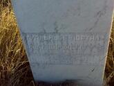 Захоронение ID 3803799