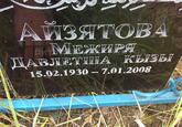 Захоронение ID 3916031