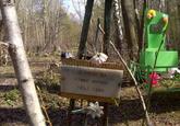 Захоронение ID 4011367