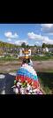 Захоронение ID 3827084