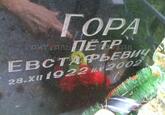 Захоронение ID 3661279