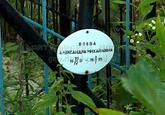 Захоронение ID 4081884