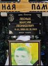 Захоронение ID 3678237