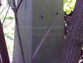 Захоронение ID 4020384