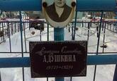 Захоронение ID 3672588