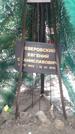 Захоронение ID 3591684