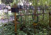 Захоронение ID 4039625