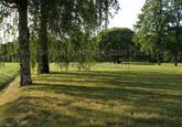Захоронение ID 3803987