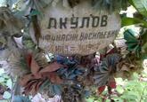 Захоронение ID 3984054