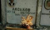 Захоронение ID 4213318