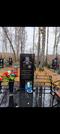 Захоронение ID 4314892