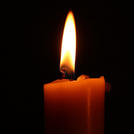 Виртуальный цветок