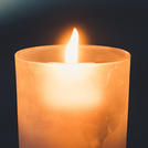 Виртуальный цветок