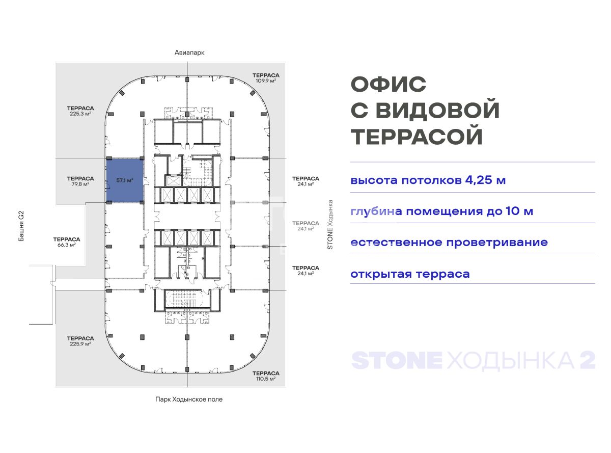 Студия, 138,5 м² — 55 035 000 ₽