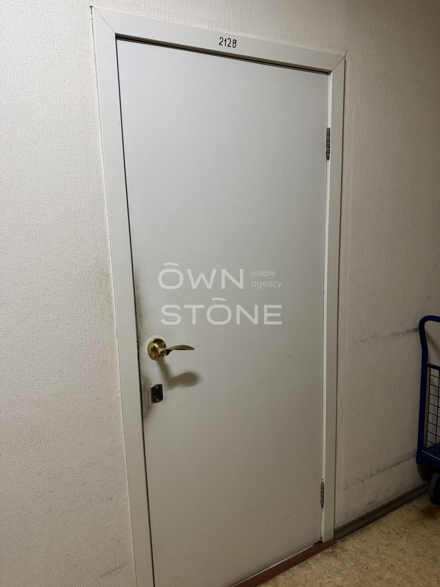 Студия, 18,3 м² — 36 600 ₽