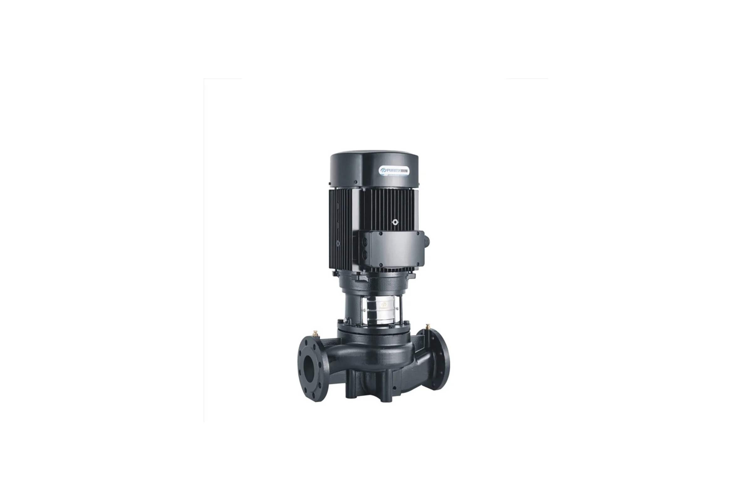 Насос Purity PTD150-12.5/4 (N) 100603926