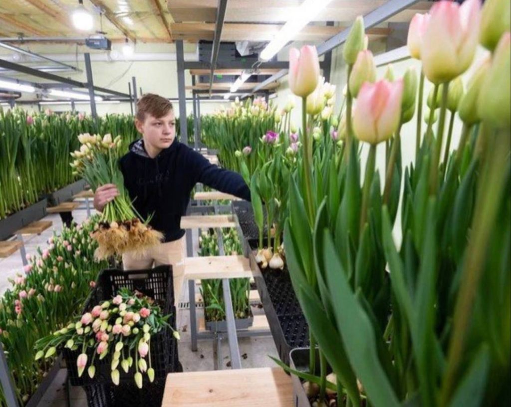 Фото: соцсети