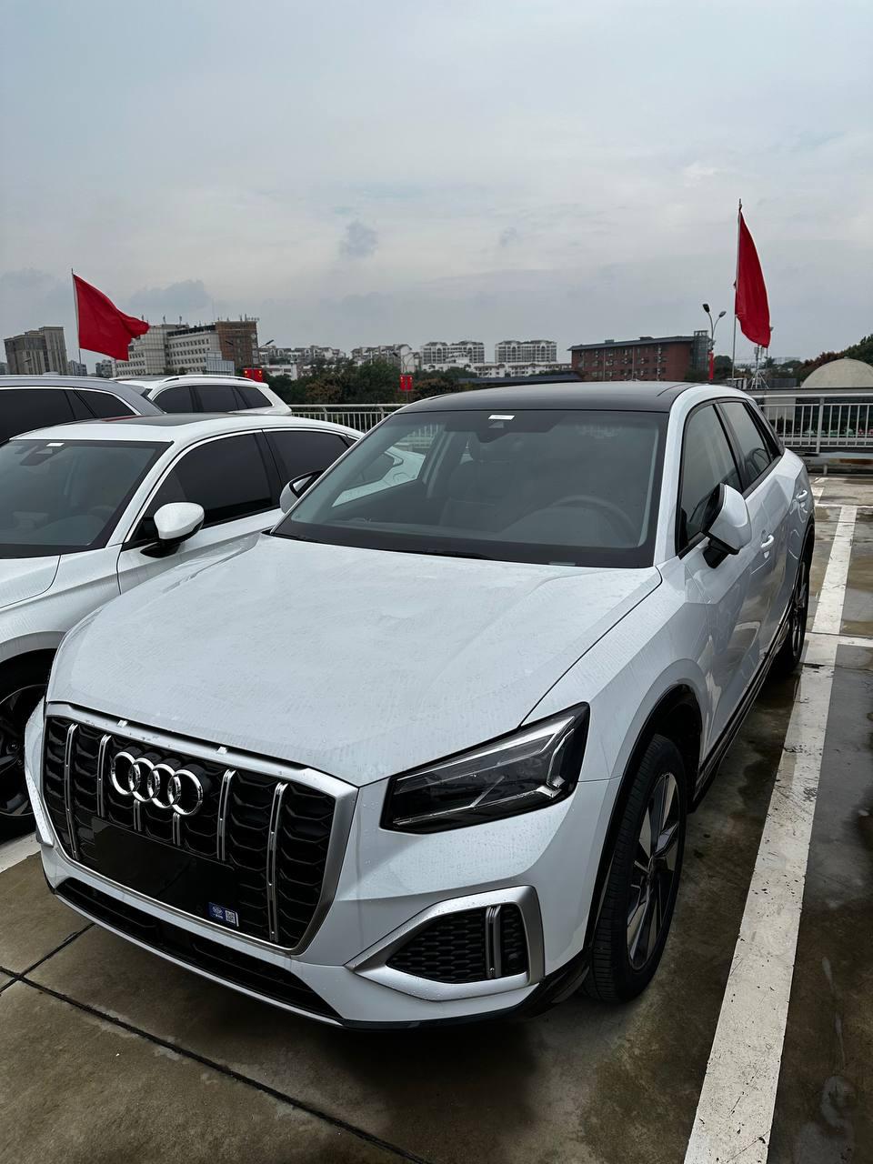 Audi Q2L 2