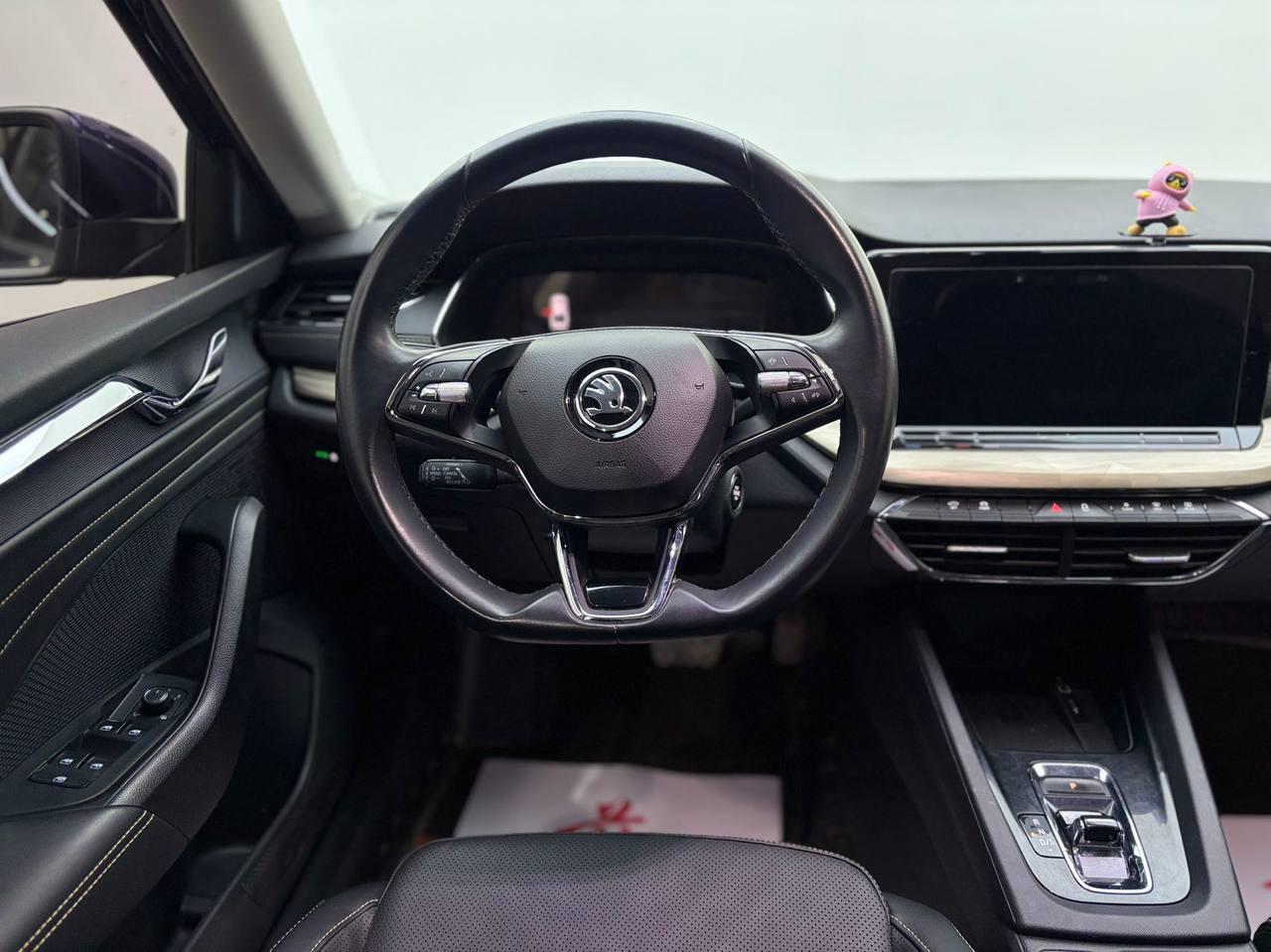 Skoda OCTAVIA PRO 8
