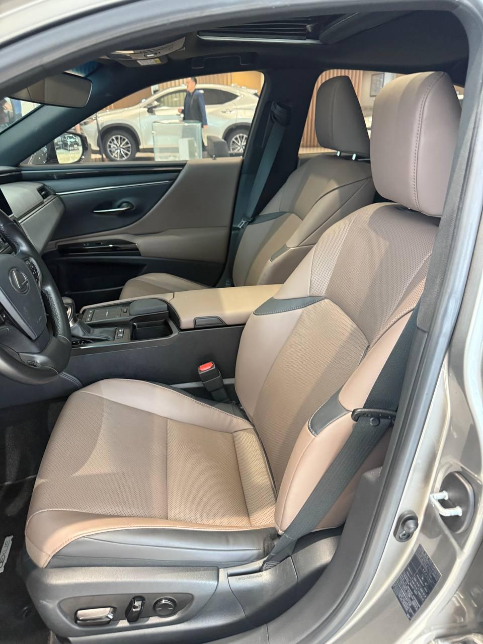 Lexus ES300h Premium Edition 6