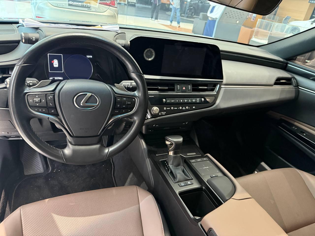 Lexus ES300h Premium Edition 7