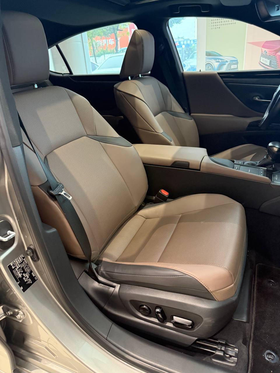 Lexus ES300h Premium Edition 8