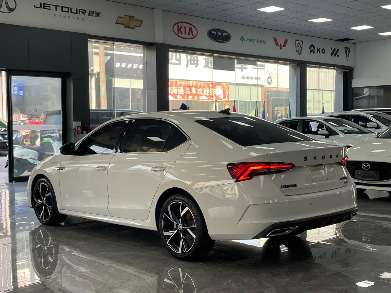 Octavia PRO 6