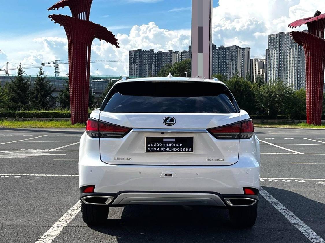 Lexus RX300 Elegance 3