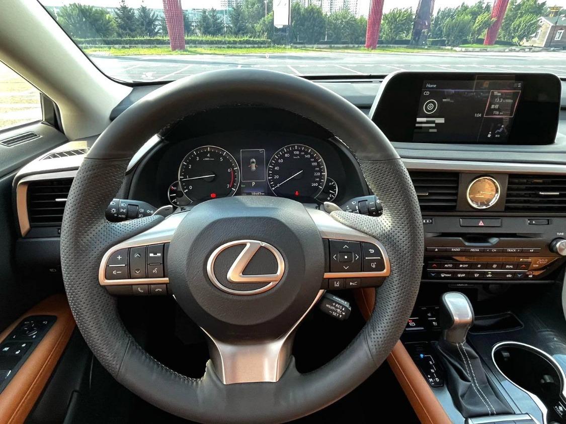 Lexus RX300 Elegance 6