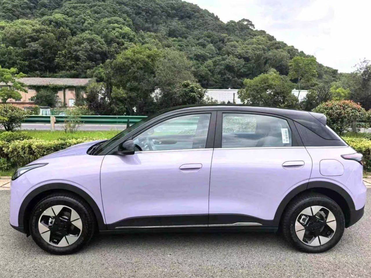 Geely Geome Xingyuan 8