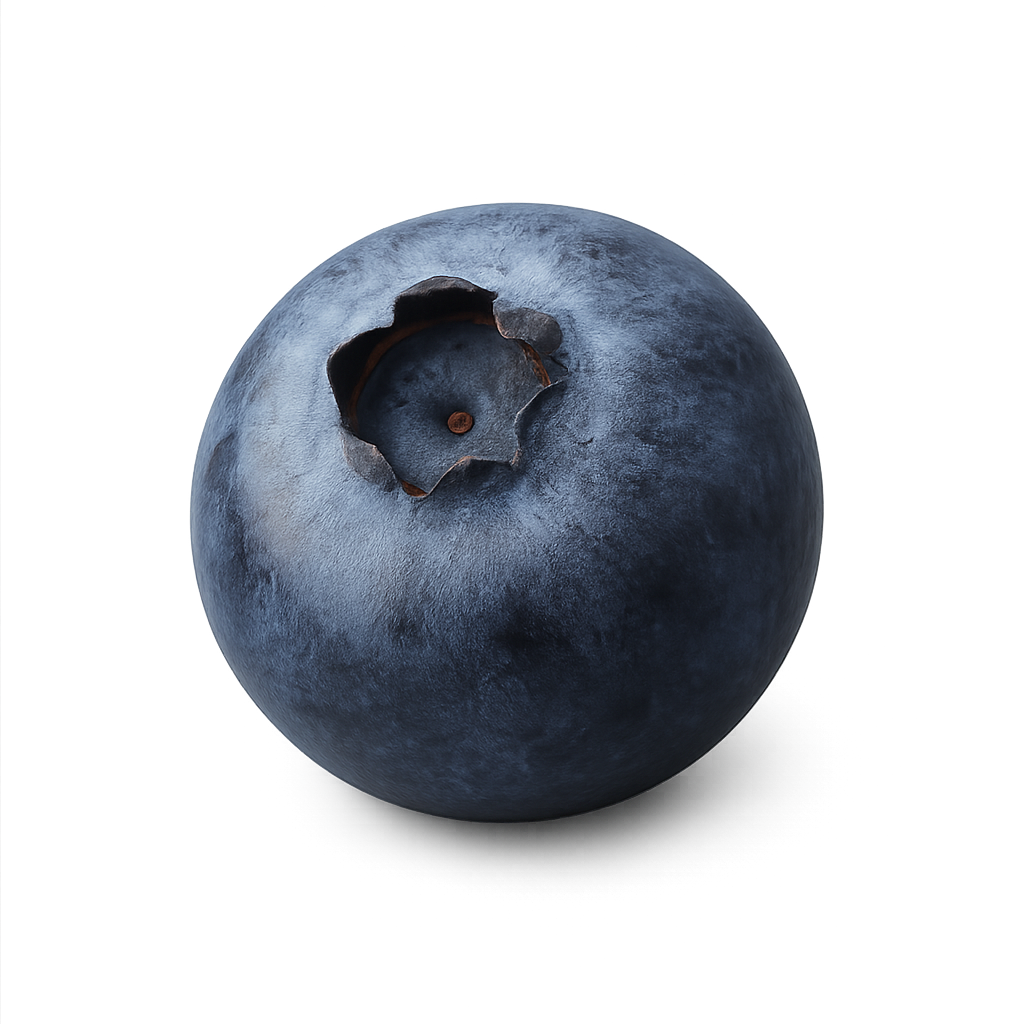 Single fresh blueberry on transparent background