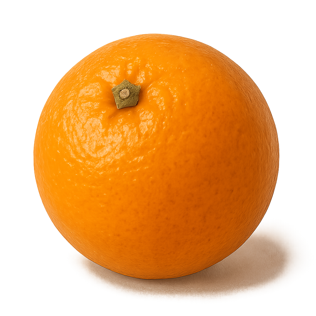 Detailed orange isolated on transparent background