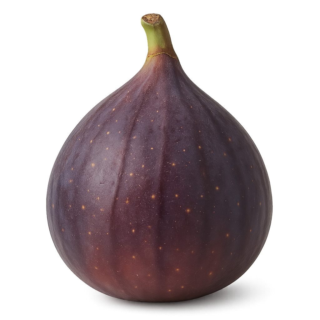 Ripe fig fruit half cut and whole on transparent background