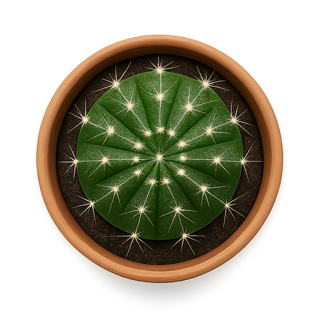 Green cactus in small ceramic pot isolated on transparent background