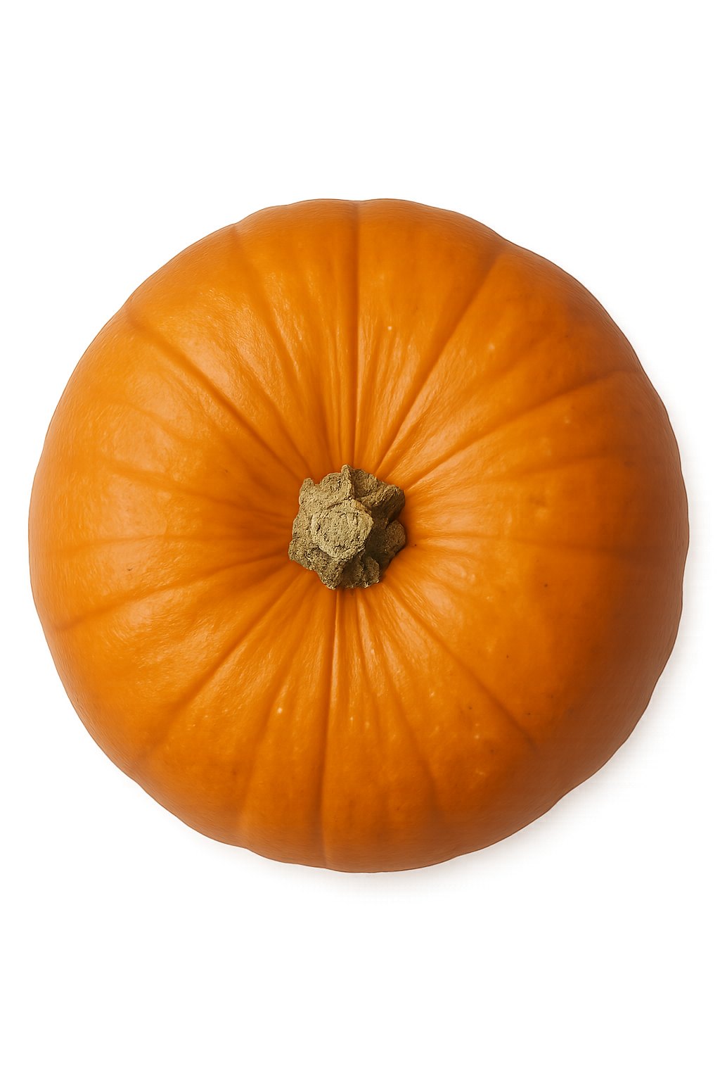 Vista superior de calabaza naranja sobre fondo transparente