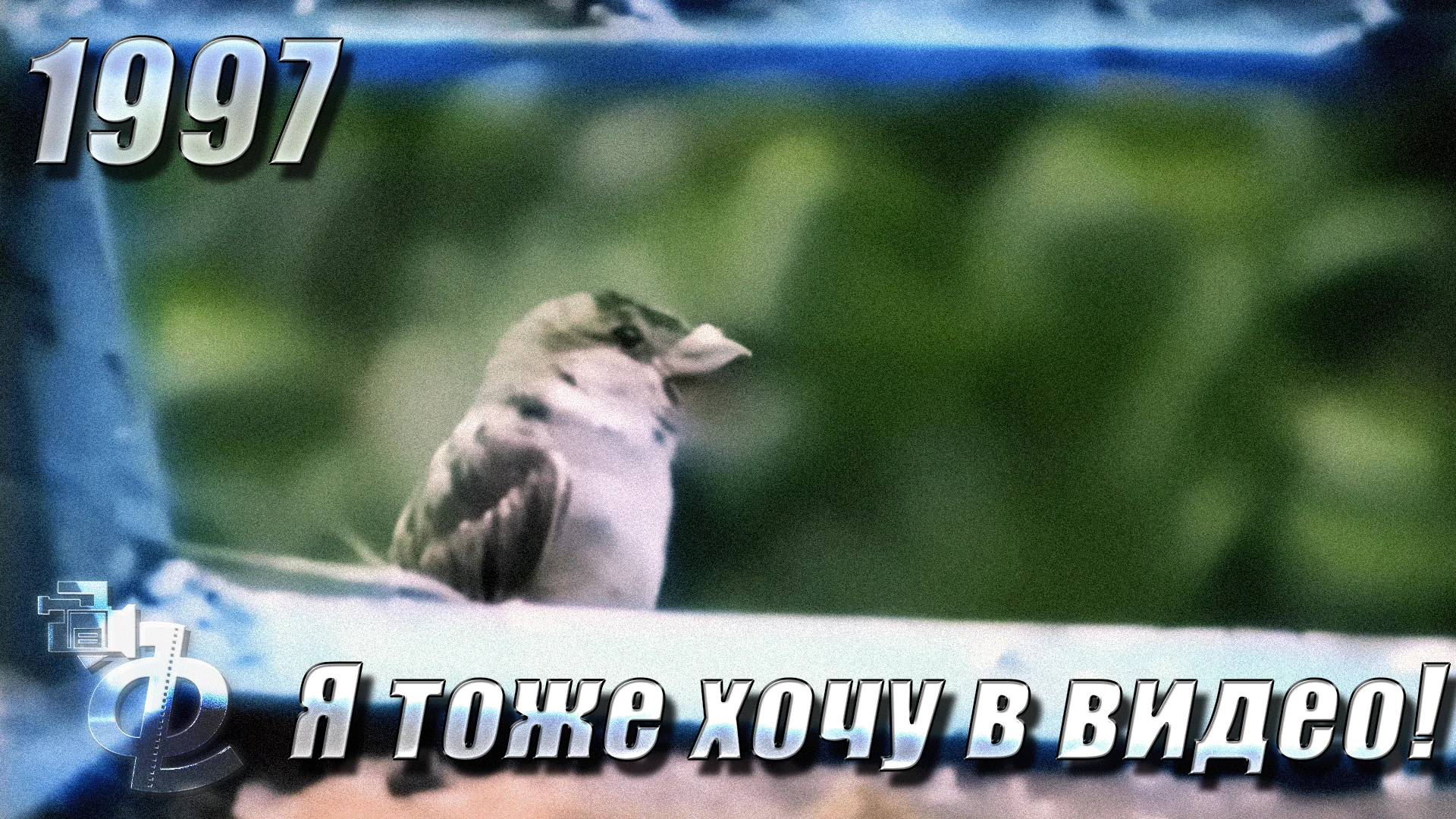 Остановись! Посмотри на воробъёв 1997 года
