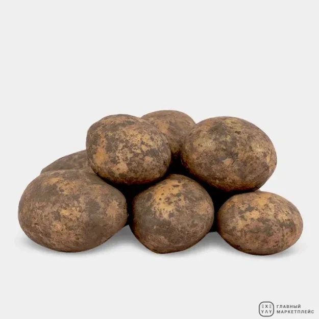 Картофель