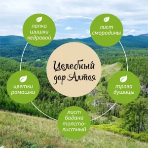 Травяной чай с кедровой шишкой, 80 г ()