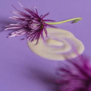 Сыворотка-флюид для лица омолаживающая c бакучиолом, 30 мл ()